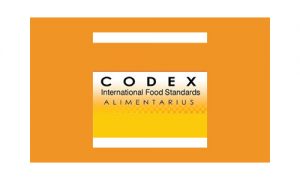 Codex-300x180